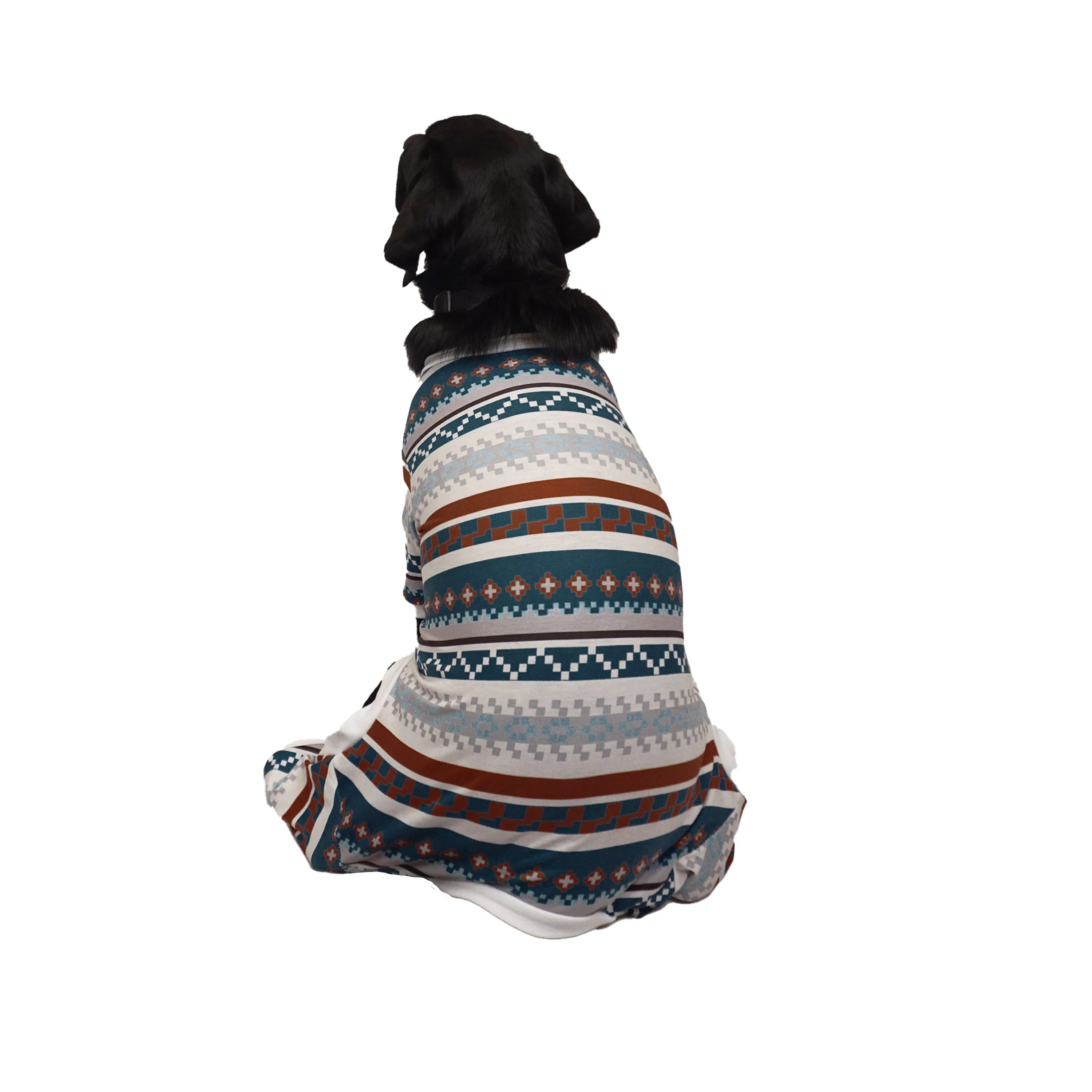 Celebrations Fair Isle Dog Pajamas