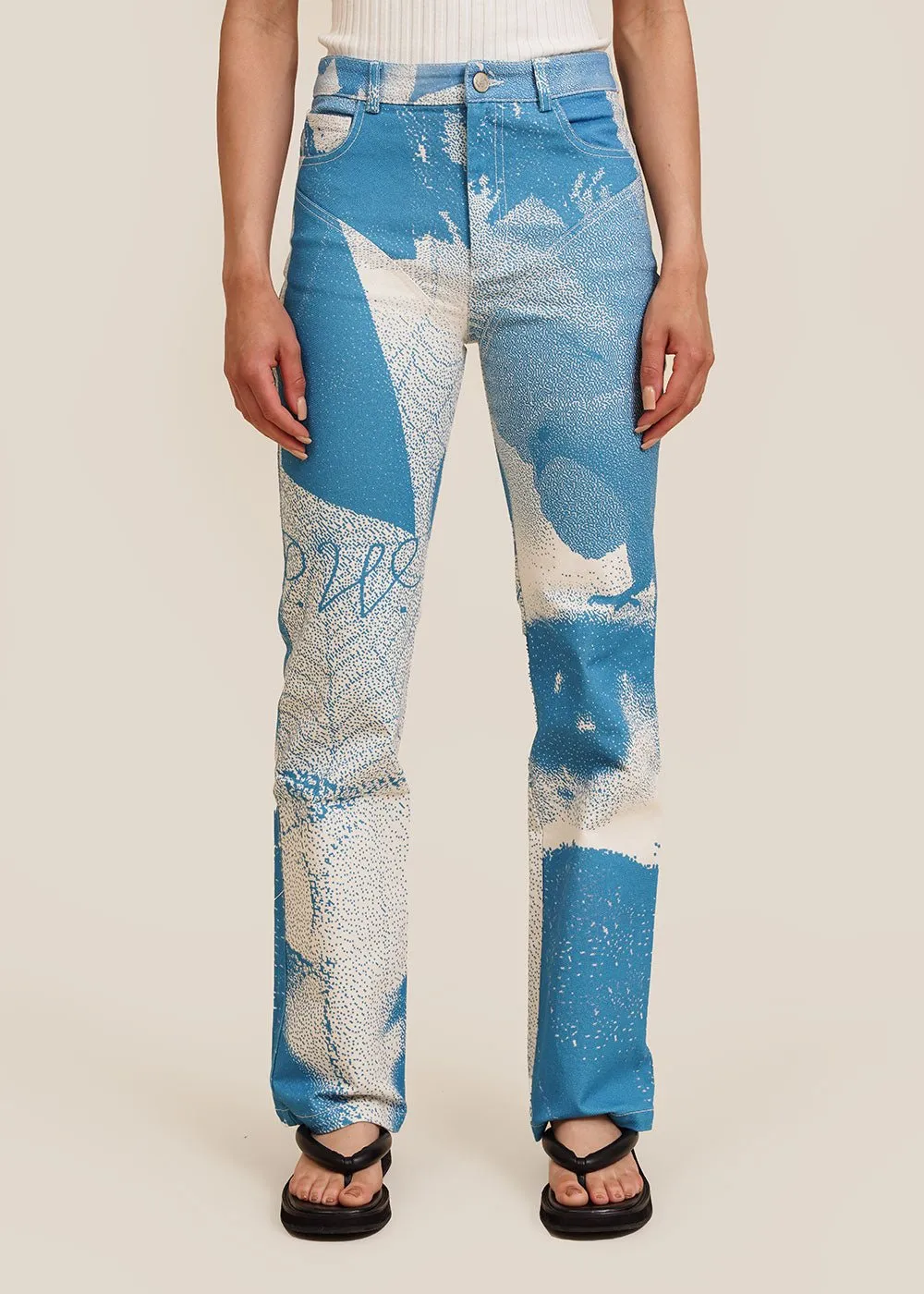 Visionaire Pants